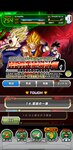 Screenshot_20210529_100231_com.bandainamcogames.dbzdokkan.jpg