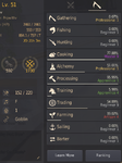 Black Desert Screenshot 2021.05.30 - 16.41.54.77.png