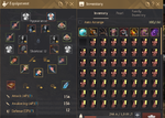 Lifeskill Gear.png