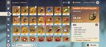 Screenshot_20210605-092759_Genshin Impact.jpg