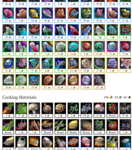 Screenshot 2021-06-14 153613.png