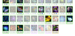 Screenshot 2021-06-14 154110.png