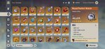 Screenshot_2021-06-18-20-55-23-942_com.miHoYo.GenshinImpact.jpg