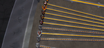 frost 4.png
