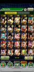 Screenshot_20210711-104455_Dokkan.jpg