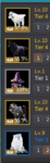 pet3.PNG