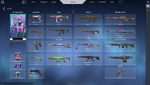 collection.png