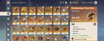 Screenshot_20210726_101648_com.miHoYo.GenshinImpact_edit_269219317928190.jpg