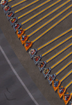 Des board 12.png