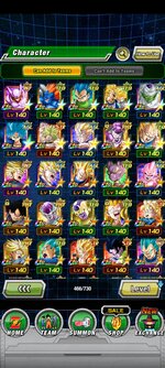 Screenshot_20210825-115421_Dokkan.jpg