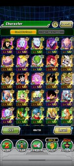 Screenshot_20210825-115525_Dokkan.jpg