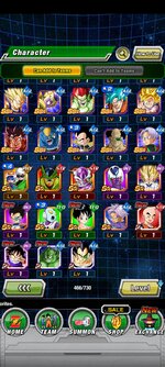 Screenshot_20210825-115708_Dokkan.jpg
