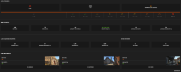 faceitprofilex.PNG