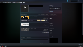 steamprofilex.png