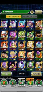 Screenshot_20210828-110050_Dokkan.jpg