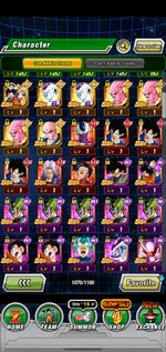 Screenshot_20210828-110028_Dokkan.jpg