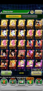 Screenshot_20210829-142103_Dokkan.jpg