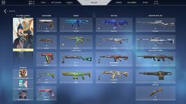 val skins.jpg