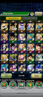 Screenshot_20210902-085208_Dokkan.jpg
