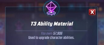 t3.JPG
