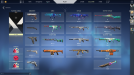 Valorant account inv.PNG