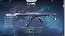 vandal.png