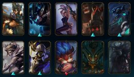 skin4.JPG