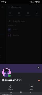 Screenshot_2021-09-29-21-01-00-566_com.discord.jpg