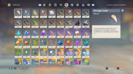 inventory 2.png