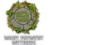 Payment methodes Icon.png