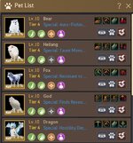 pet 1.jpg