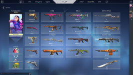 VALORANT_2021.10.13-14.12.png