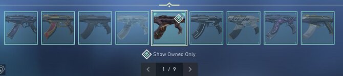 gun vandal.jpg