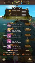 brawls.jpg