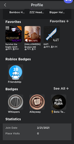 Screenshot_20211027-171738_Roblox.png