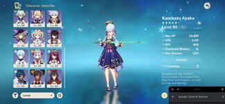 Screenshot_20211011_224845_com.miHoYo.GenshinImpact.jpg