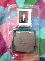 243987900_10219788185246443_1122639285320758005_n.jpg