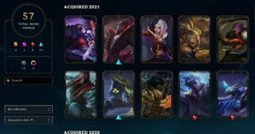 skins 1.JPG