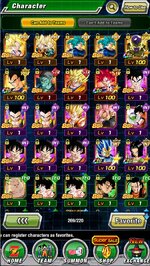 dokkan1.jpg