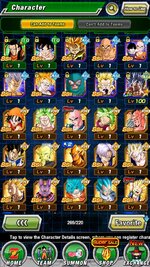 dokkan2.jpg