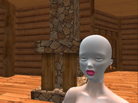 Snapshot_001.png