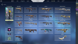 Valorant Screenshot 2021.11.17 - 16.36.12.94 (1).png