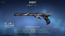 GHOST SKINS.png