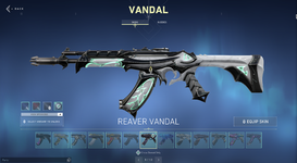 VANDAL SKINS.png