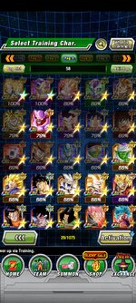 Screenshot_2021-11-21-18-24-06-152_com.bandainamcogames.dbzdokkanww.jpg
