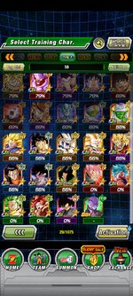 Screenshot_2021-11-21-18-24-08-071_com.bandainamcogames.dbzdokkanww.jpg