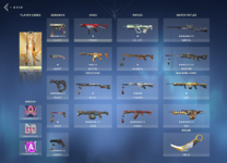 Overview of Collection.PNG