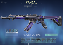 Reaver Vandal.PNG