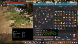 Black Desert Screenshot 2021.11.29 - 16.12.18.73.png