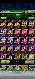 Screenshot_2021-12-02-06-06-43-251_com.bandainamcogames.dbzdokkanww.jpg